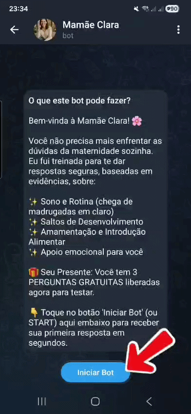 Demonstração do Bot